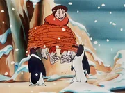 Die Pinguine können es nicht fassen. Wie kommt ein Gibbon ins ewige Eis?