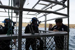 Andrew talking to Lauren and Charlie in the cage.