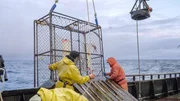 Time Bandit crew hauling pot over rail.