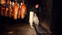 Der bekannte Katenschinken wird ausgiebig per Hand angesalzen, bis er dann in der R&auml;ucherkate im Rauch der glimmenden Buchensp&auml;ne verweilt und konserviert wird.