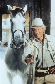 Jetzt geht's den Desperados an den Kragen: Lucky Luke (Terence Hill) und sein treuer Begleiter r&auml;umen in dem Westernst&auml;dtchen Daisy-Town auf ...