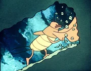 Ein Erdkäfer baut einen weiteren unterirdischen Gang. Ein Erdkäfer baut einen weiteren unterirdischen Gang.