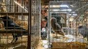 Ein Tracking-Programm zur Bestimmung von Bewegungsmustern führt Lars Pöhlmann (Dominic Boeer) und Karoline Joost (Nike Fuhrmann) zu einer Scheune, in der geschützte Wildvögel gefangen gehalten werden. War der tote Ranger illegalen Wilderern auf der Spur? Ein Tracking-Programm zur Bestimmung von Bewegungsmustern führt Lars Pöhlmann (Dominic Boeer) und Karoline Joost (Nike Fuhrmann) zu einer Scheune, in der geschützte Wildvögel gefangen gehalten werden. War der tote Ranger illegalen Wilderern auf der Spur?