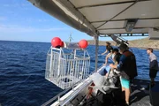 Starting to lower cage for test dive