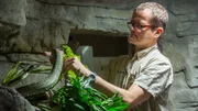 Schlangen hat der Leiter des Tropen-Aquariums Dr. Guido Westhoff schon in Australien an der Universität in Queensland erforscht. Schlangen hat der Leiter des Tropen-Aquariums Dr. Guido Westhoff schon in Australien an der Universität in Queensland erforscht.