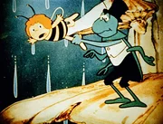 Ein kleiner Wurm ist ins Wasser gefallen und Maja will ihm zu Hilfe kommen. Flip hält sie zurück, denn er hat Angst, dass ihr etwas passiert.