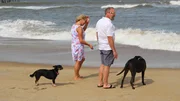 Contributors John Valerius (R) and Tracy Ziegler (L) take in the beautiful waves on the beach in Kill Devil Hills, North Carolina with their dogs as seen on HGTV's Beachfront Bargain Hunt. Contributors John Valerius (R) and Tracy Ziegler (L) take in the beautiful waves on the beach in Kill Devil Hills, North Carolina with their dogs as seen on HGTV's Beachfront Bargain Hunt.