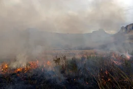 Universum: "Im Bann der Drachenberge", Ein Portrait des h&ouml;chsten Gebirges im s&uuml;dlichen Afrika. Die Drakensberge sind ein s&uuml;dafrikanischer Nationalpark und Weltnatur- und -kulturerbe. Die Hauptdarsteller des Films sind ein Trupp von Pavianen und eine Familie von Elen-Antilopen. Beide Arten ziehen mit den Jahreszeiten und dem verf&uuml;gbaren Nahrungsangebot Jahr f&uuml;r Jahr aus den Ebenen am Fu&szlig; der Drakensberge hinauf in die Gipfelregion, wo sie K&auml;lte, St&uuml;rme und heftige Unwetter erwarten. Der Film wird im Speziellen ein Elen-Kalb ein Jahr lang auf seinem Weg durch die Bergwelt und beim Heranwachsen begleiten.  SENDUNG: 3sat - FR - 08.01.2021 - 09:40 UHR. - Veroeffentlichung fuer Pressezwecke honorarfrei ausschliesslich im Zusammenhang mit oben genannter Sendung oder Veranstaltung des ORF bei Urhebernennung.