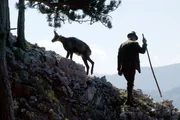 Die Landschaft im S&uuml;den Nieder&ouml;sterreichs ist gepr&auml;gt von den letzten Ausl&auml;ufern der Alpen. Dieser filmische Streifzug pr&auml;sentiert die "Sonnenberge" mit ihrer vielf&auml;ltigen Natur und Kultur - ein umfassendes Portr&auml;t dieses Lebensraumes und seiner Bewohner. Der eine z&uuml;chtet "Alpenlachse", der andere "hat Pech": Hier gewinnen Bauern im Nebenerwerb als "Pecher" auf traditionelle Weise das Harz der Schwarzkiefer - f&uuml;r Kosmetikprodukte, Terpentin&ouml;l sowie Kolophonium f&uuml;r Instrumentensaiten. In der Region zwischen Rax und Buckliger Welt finden sich auch die Hausberge der Wiener: F&uuml;r viele Erholung Suchende und Extremsportler, Naturliebhaber und Kulturfreunde liegt dieses Paradies praktisch vor der Haust&uuml;r.