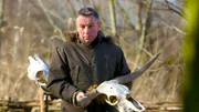 Professor Wemhoff mit einem Tiersch&auml;del: Kultplatz / Opfermoor der Germanen um das Jahr 0