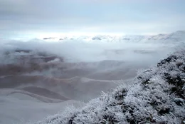 Universum: "Im Bann der Drachenberge", Ein Portrait des h&ouml;chsten Gebirges im s&uuml;dlichen Afrika. Die Drakensberge sind ein s&uuml;dafrikanischer Nationalpark und Weltnatur- und -kulturerbe. Die Hauptdarsteller des Films sind ein Trupp von Pavianen und eine Familie von Elen-Antilopen. Beide Arten ziehen mit den Jahreszeiten und dem verf&uuml;gbaren Nahrungsangebot Jahr f&uuml;r Jahr aus den Ebenen am Fu&szlig; der Drakensberge hinauf in die Gipfelregion, wo sie K&auml;lte, St&uuml;rme und heftige Unwetter erwarten. Der Film wird im Speziellen ein Elen-Kalb ein Jahr lang auf seinem Weg durch die Bergwelt und beim Heranwachsen begleiten.  SENDUNG: 3sat - FR - 08.01.2021 - 09:40 UHR. - Veroeffentlichung fuer Pressezwecke honorarfrei ausschliesslich im Zusammenhang mit oben genannter Sendung oder Veranstaltung des ORF bei Urhebernennung.