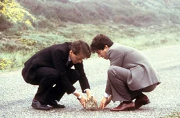 Peter Capaldi, Peter Riegert.