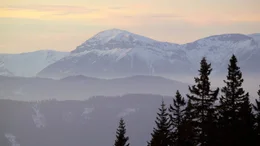 Die Landschaft im S&uuml;den Nieder&ouml;sterreichs ist gepr&auml;gt von den letzten Ausl&auml;ufern der Alpen. Dieser filmische Streifzug pr&auml;sentiert die "Sonnenberge" mit ihrer vielf&auml;ltigen Natur und Kultur - ein umfassendes Portr&auml;t dieses Lebensraumes und seiner Bewohner. Der eine z&uuml;chtet "Alpenlachse", der andere "hat Pech": Hier gewinnen Bauern im Nebenerwerb als "Pecher" auf traditionelle Weise das Harz der Schwarzkiefer - f&uuml;r Kosmetikprodukte, Terpentin&ouml;l sowie Kolophonium f&uuml;r Instrumentensaiten. In der Region zwischen Rax und Buckliger Welt finden sich auch die Hausberge der Wiener: F&uuml;r viele Erholung Suchende und Extremsportler, Naturliebhaber und Kulturfreunde liegt dieses Paradies praktisch vor der Haust&uuml;r.