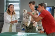 Während Conny Weidner (Thorsten Wolf, rechts) und seine Kollegin (Komparsin, Mitte) keine Berührungsängste haben, ist Cheftierärztin Dr. Elif Şahin (Neshe Demir, links) skeptisch: Schneeeulen sind Raubvögel und gefährlich.