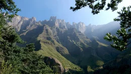 Universum: "Im Bann der Drachenberge", ein Portr&auml;t des h&ouml;chsten Gebirges im s&uuml;dlichen Afrika. Die Drakensberge sind ein s&uuml;dafrikanischer Nationalpark sowie Weltnatur- und -kulturerbe. Die Hauptdarsteller des Films sind ein Trupp von Pavianen und eine Familie von Elen-Antilopen. Beide Arten ziehen mit den Jahreszeiten und dem verf&uuml;gbaren Nahrungsangebot Jahr f&uuml;r Jahr aus den Ebenen am Fu&szlig; der Drakensberge hinauf in die Gipfelregion, wo sie K&auml;lte, St&uuml;rme und heftige Unwetter erwarten. Der Film begleitet im Speziellen ein Elen-Kalb ein Jahr lang auf seinem Weg durch die Bergwelt und beim Heranwachsen.