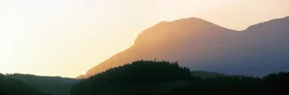 Die Landschaft im S&uuml;den Nieder&ouml;sterreichs ist gepr&auml;gt von den letzten Ausl&auml;ufern der Alpen. Dieser filmische Streifzug pr&auml;sentiert die "Sonnenberge" mit ihrer vielf&auml;ltigen Natur und Kultur - ein umfassendes Portr&auml;t dieses Lebensraumes und seiner Bewohner. Der eine z&uuml;chtet "Alpenlachse", der andere "hat Pech": Hier gewinnen Bauern im Nebenerwerb als "Pecher" auf traditionelle Weise das Harz der Schwarzkiefer - f&uuml;r Kosmetikprodukte, Terpentin&ouml;l sowie Kolophonium f&uuml;r Instrumentensaiten. In der Region zwischen Rax und Buckliger Welt finden sich auch die Hausberge der Wiener: F&uuml;r viele Erholung Suchende und Extremsportler, Naturliebhaber und Kulturfreunde liegt dieses Paradies praktisch vor der Haust&uuml;r.
