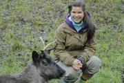 Anna hat mit den Rentieren in Salaburg viel Spaß. Anna hat mit den Rentieren in Salaburg viel Spaß.