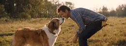 Bailey, Dennis Quaid als Ethan