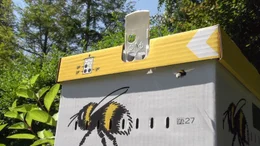 Hummel-Box