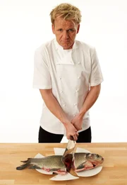 Setzt all sein Wissen und seine Erfahrung ein, um schlecht laufende Restaurants aus der Krise zu retten: Sternekoch Gordon Ramsay Setzt all sein Wissen und seine Erfahrung ein, um schlecht laufende Restaurants aus der Krise zu retten: Sternekoch Gordon Ramsay
