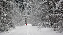 Winter in Franken.