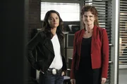 Ein neuer Fall besch&auml;ftigt Teresa (Robin Tunney, l.) und Brenda Shettrick (Rebecca Wisocky, r.) ...