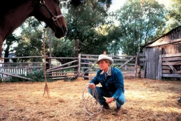 Der "Pferdefl&uuml;sterer" Tom Booker (Robert Redford) gibt sich alle M&uuml;he, um das verst&ouml;rte Pferd Pilgrim zu heilen ...