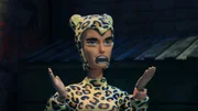 Cheetah Cheetah