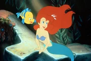 Flounder und Arielle