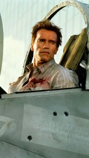 Harry (Arnold Schwarzenegger)  Die Verwendung des sendungsbezogenen Materials ist nur mit dem Hinweis und Verlinkung auf TVNOW gestattet.
