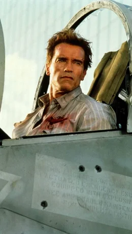 Harry (Arnold Schwarzenegger)  Die Verwendung des sendungsbezogenen Materials ist nur mit dem Hinweis und Verlinkung auf TVNOW gestattet.