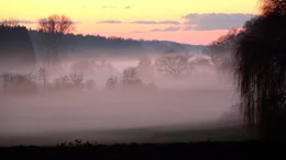 Nebel im Zenngrund.