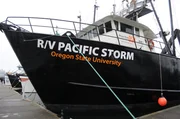 Newport OR: Forschungsschiff "RV Pacific Storm" der Oregon State Universit im Hafen von Newport, OR. Newport OR: Forschungsschiff "RV Pacific Storm" der Oregon State Universit im Hafen von Newport, OR.