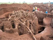 Ameisen - Die heimliche Weltmacht