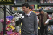 Um die richtige Frau zu finden, lässt Ted (Josh Radnor) nichts unversucht ... Um die richtige Frau zu finden, lässt Ted (Josh Radnor) nichts unversucht ...