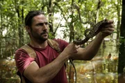 Hazen behandelt eine Amazonas-Baumboa, nachdem sie zum Angriff übergegangen ist.
