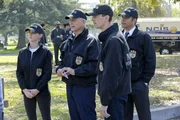 Müssen einen neuen Fall aufdecken: Bishop (Emily Wickersham, l.), Gibbs (Mark Harmon, 2.v.l.), McGee (Sean Murray, 2.v.r.) und Tony (Michael Weatherly, r.) ... Müssen einen neuen Fall aufdecken: Bishop (Emily Wickersham, l.), Gibbs (Mark Harmon, 2.v.l.), McGee (Sean Murray, 2.v.r.) und Tony (Michael Weatherly, r.) ...