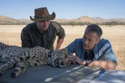 Dirk Steffens assistiert bei der Besenderung eines wilden Geparden. Er ist fasziniert von der Sch&ouml;nheit der seltenen Raubkatze.