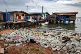 Mehr als die H&auml;lfte des Plastikm&uuml;lls wird &uuml;ber Fl&uuml;sse aus China, Thailand, Indonesien, Vietnam und den Philippinen in die Meere gesp&uuml;lt. Ein Gro&szlig;teil davon stammt aus westlichen Industriel&auml;ndern.