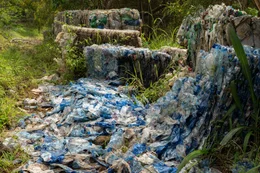 Von den 78 Millionen Tonnen Plastikverpackungen weltweit landet etwa ein Drittel als M&uuml;ll in der Umwelt.