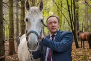 Der Fall ist noch nicht gelöst, aber wenigstens hat Barnaby (Neil Dudgeon) die wertvollen gestohlenen Pferde wieder gefunden.