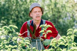 Georg R&auml;derscheidt (Heiner Hardt) schneidet nicht nur seine Hecke, sondern lauscht auch gerne mal, was bei der Nachbarsfamilie Schmitz vor sich geht.