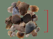 Artefakte aus H&ouml;hlen