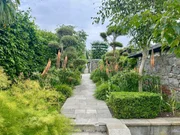 In Irlands Hauptstadt Dublin liegen die Airfield Estate Gärten. Ein lebendiges Stück Geschichte, das gleichzeitig zeigt, wie nachhaltig Garteln heute sein kann. Diese Verbindung von Landwirtschaft und Gartenkunst macht den Ort einzigartig.