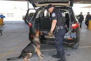 CBP-Beamter Gonzalez und sein K9 Igor untersuchen den Kofferraum eines verd&auml;chtigen Fahrzeugs auf Anzeichen f&uuml;r versteckte Schmuggelware am Grenz&uuml;bergang in Hidalgo, Texas.