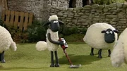 Shaun versucht sich als Schatzsucher. Liegen unter dem Gras wertvolle Dinge? Shaun versucht sich als Schatzsucher. Liegen unter dem Gras wertvolle Dinge?