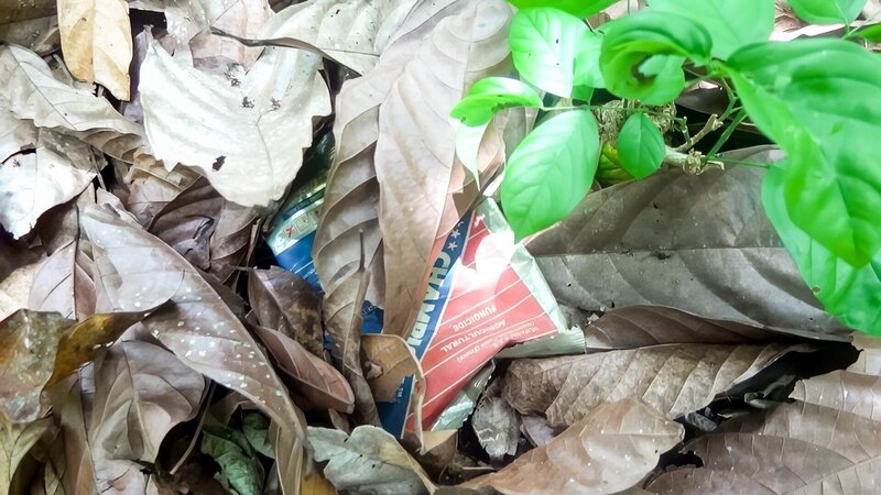 Der Fair-Schmäh – Schokolade aus Österreich (A, 2025)