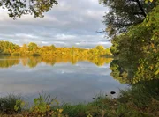 Westerwälder Seenplatte. Westerwälder Seenplatte.
