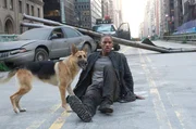 Als einziger Mensch in Manhattan versucht Robert Neville (Will Smith) mit Hilfe seines eigenen Blutes, ein Gegenmittel f&uuml;r ein genver&auml;nderndes Virus zu finden ...