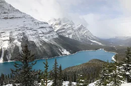 Der t&uuml;rkisblaue Peyto Lake im Banff Nationalpark - gesehen vom Aussichtspunkt "Bow Summit".